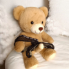 Picture of Sir Teddy Snugglebottom