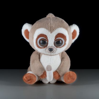 Picture of Antonio Cockobongo